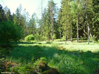 1 NSG Diebskeller - Landgrafenborn